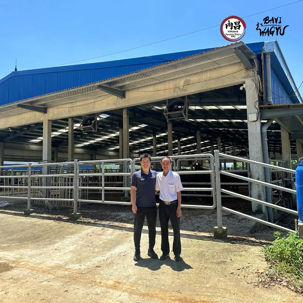 Ba Vì Wagyu – Khi Tinh Hoa Nhật Bản Giao Thoa Cùng Tâm Hồn Việt